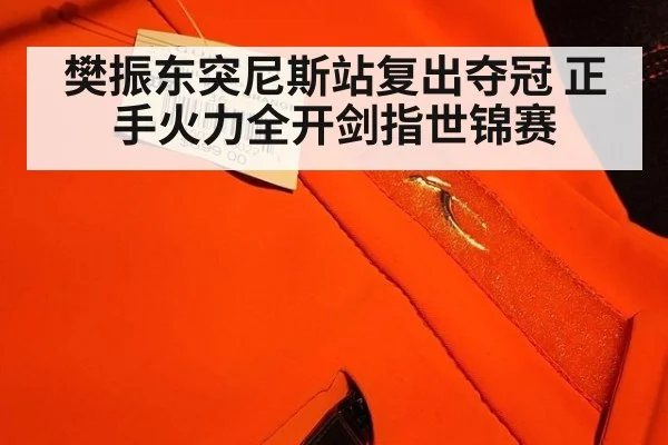 樊振东突尼斯站复出夺冠 正手火力全开剑指世锦赛