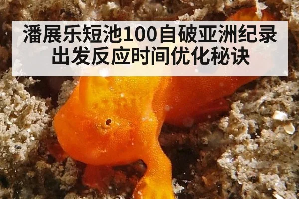 潘展乐短池100自破亚洲纪录 出发反应时间优化秘诀